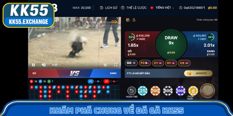 Khám phá chung về đá gà KK55